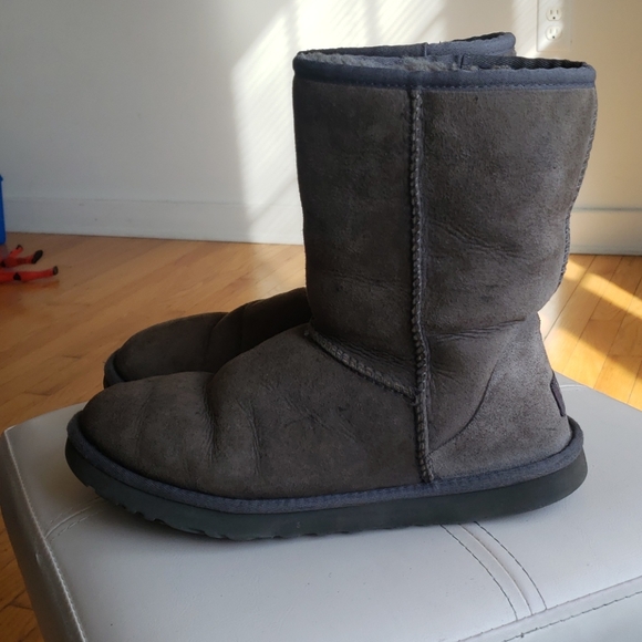 Women Classic Short Uggs - Picture 1 of 6
